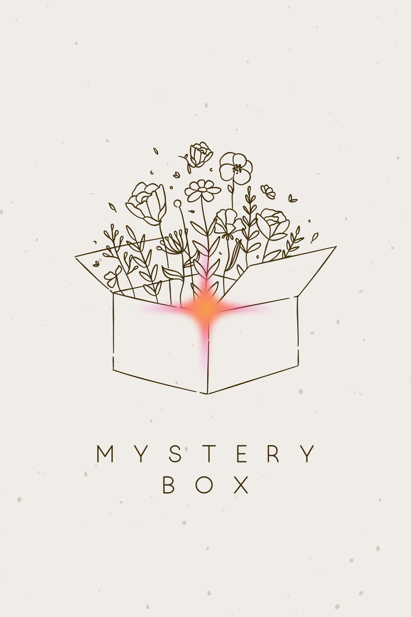 Mystery Bra Box